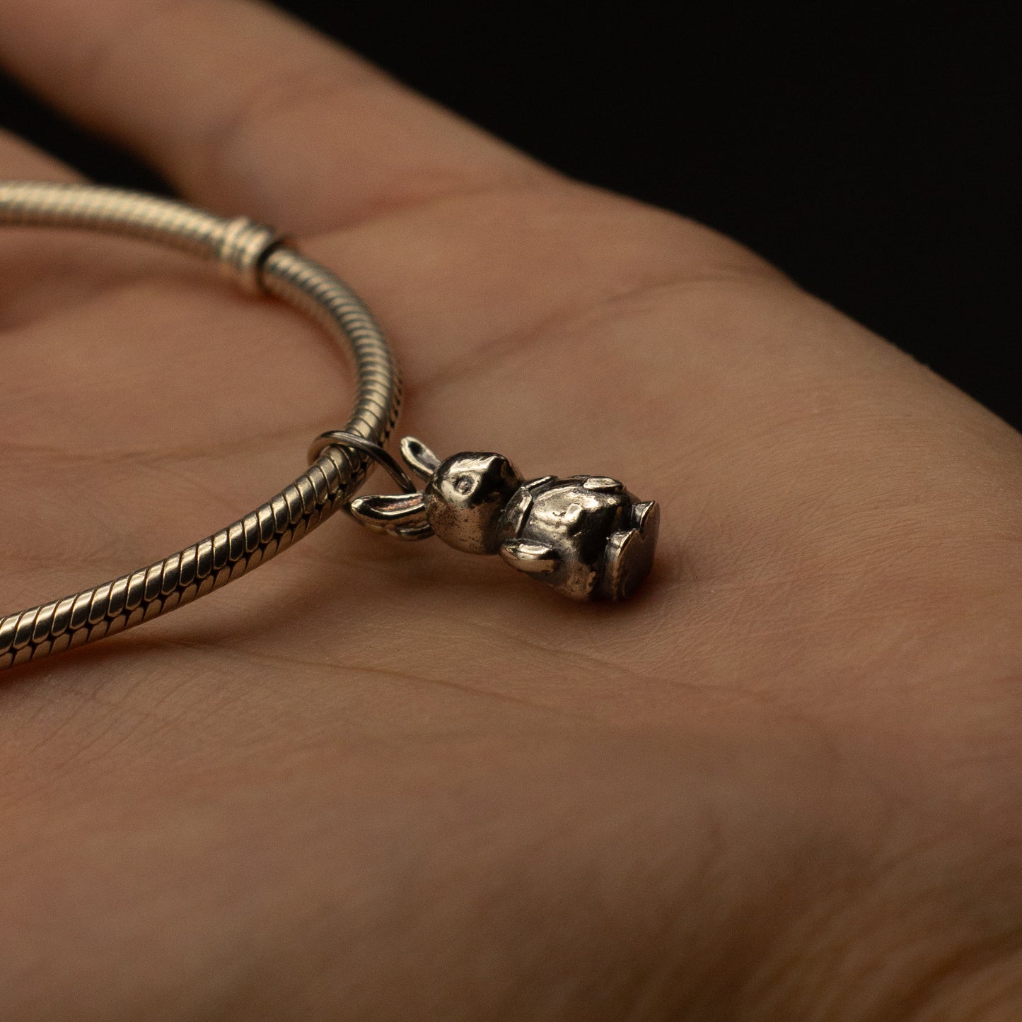 Sylva Families charm (1 unidad) - a pedido