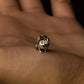 Pochita Charm