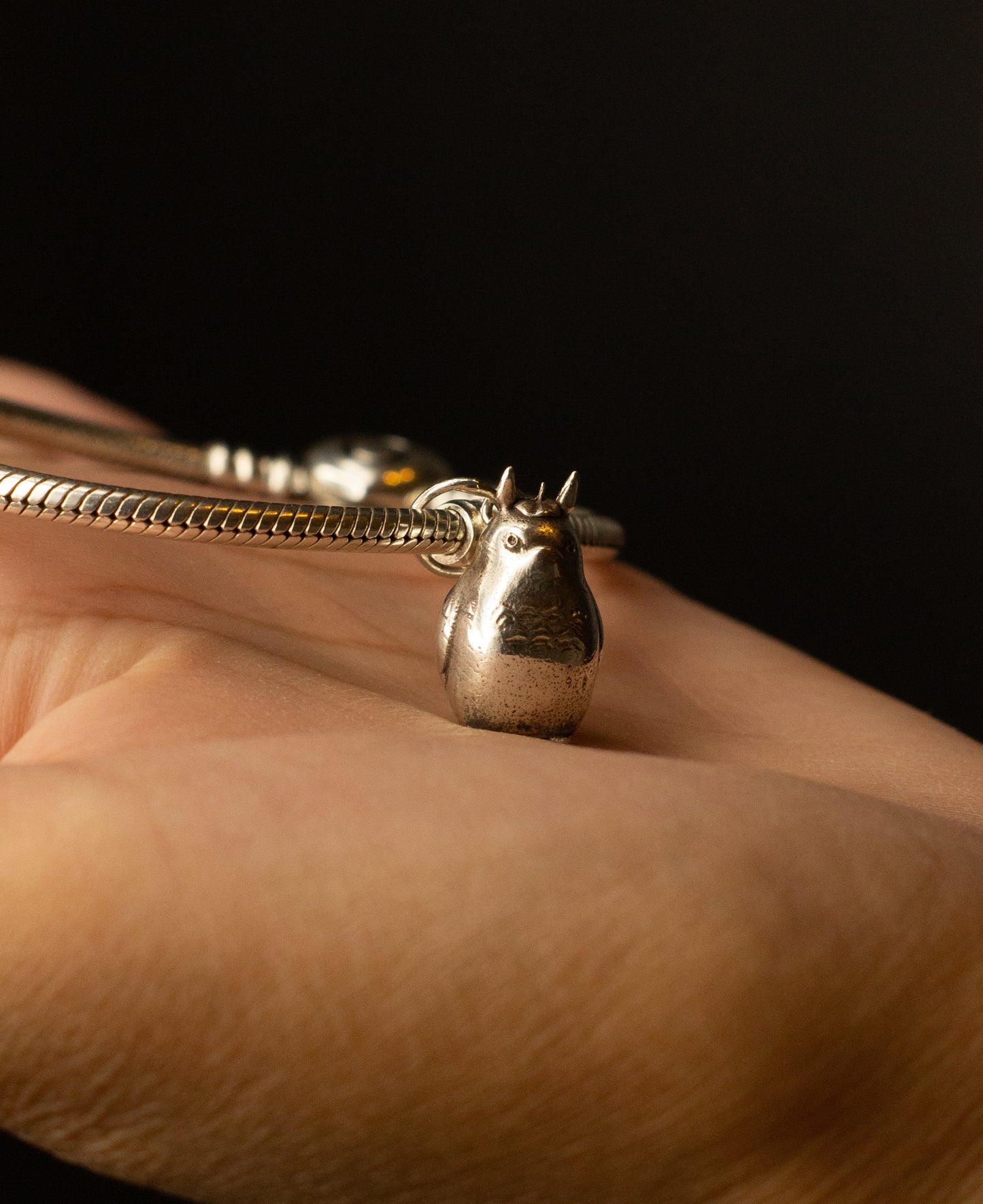 Totoro Charm